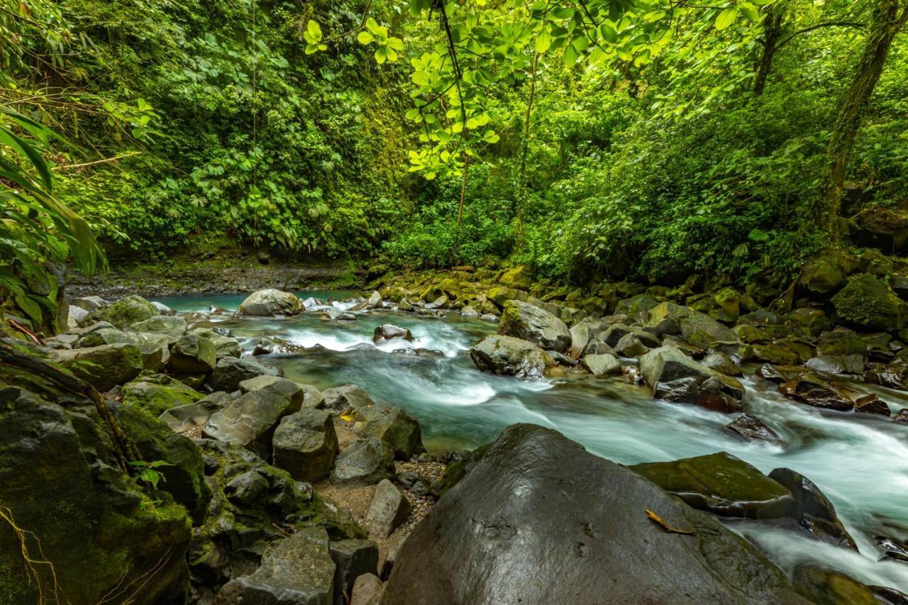 Tifakara Boutique Hotel & Birding Oasis La Fortuna Екстер'єр фото