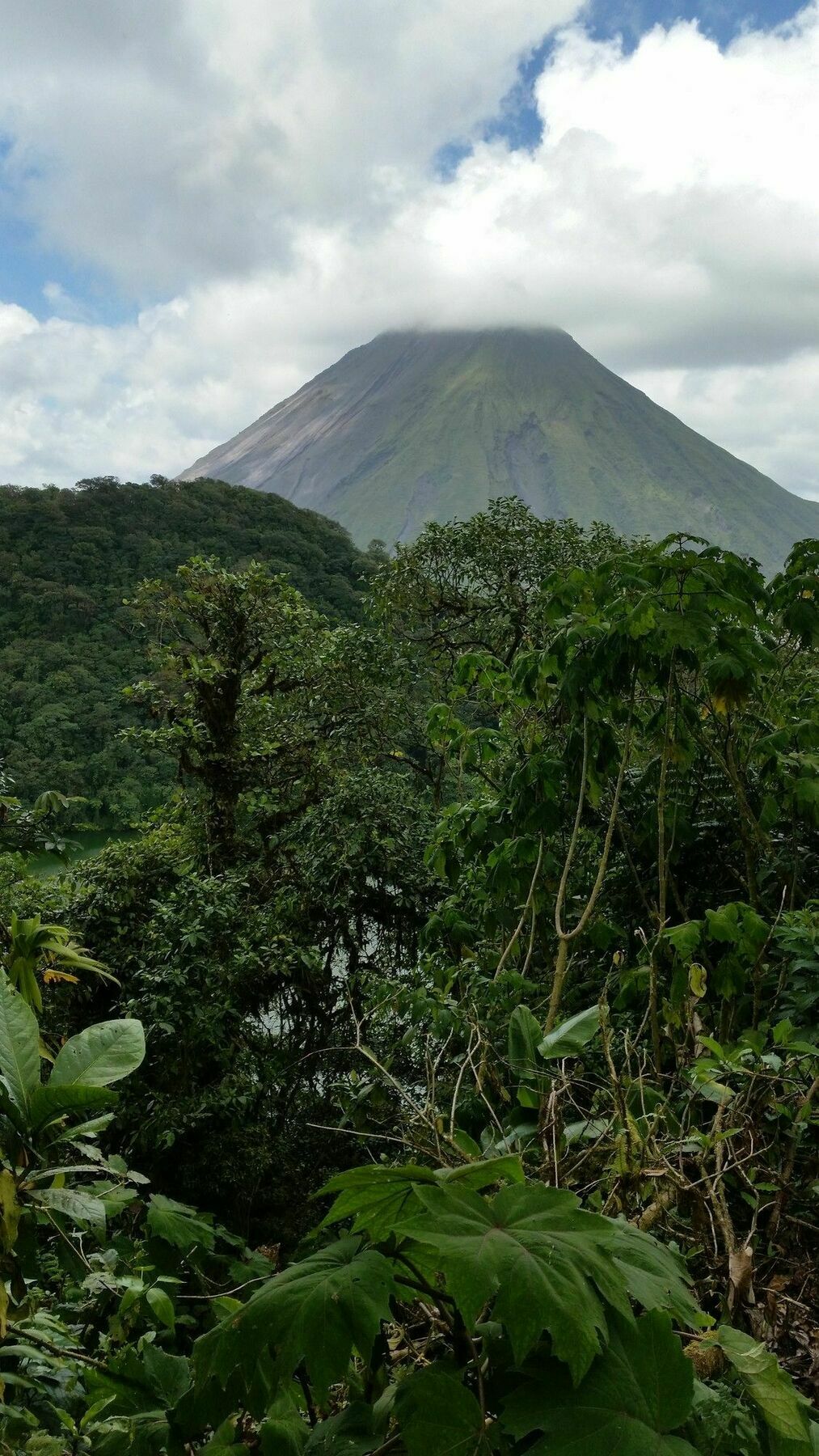 Tifakara Boutique Hotel & Birding Oasis La Fortuna Екстер'єр фото