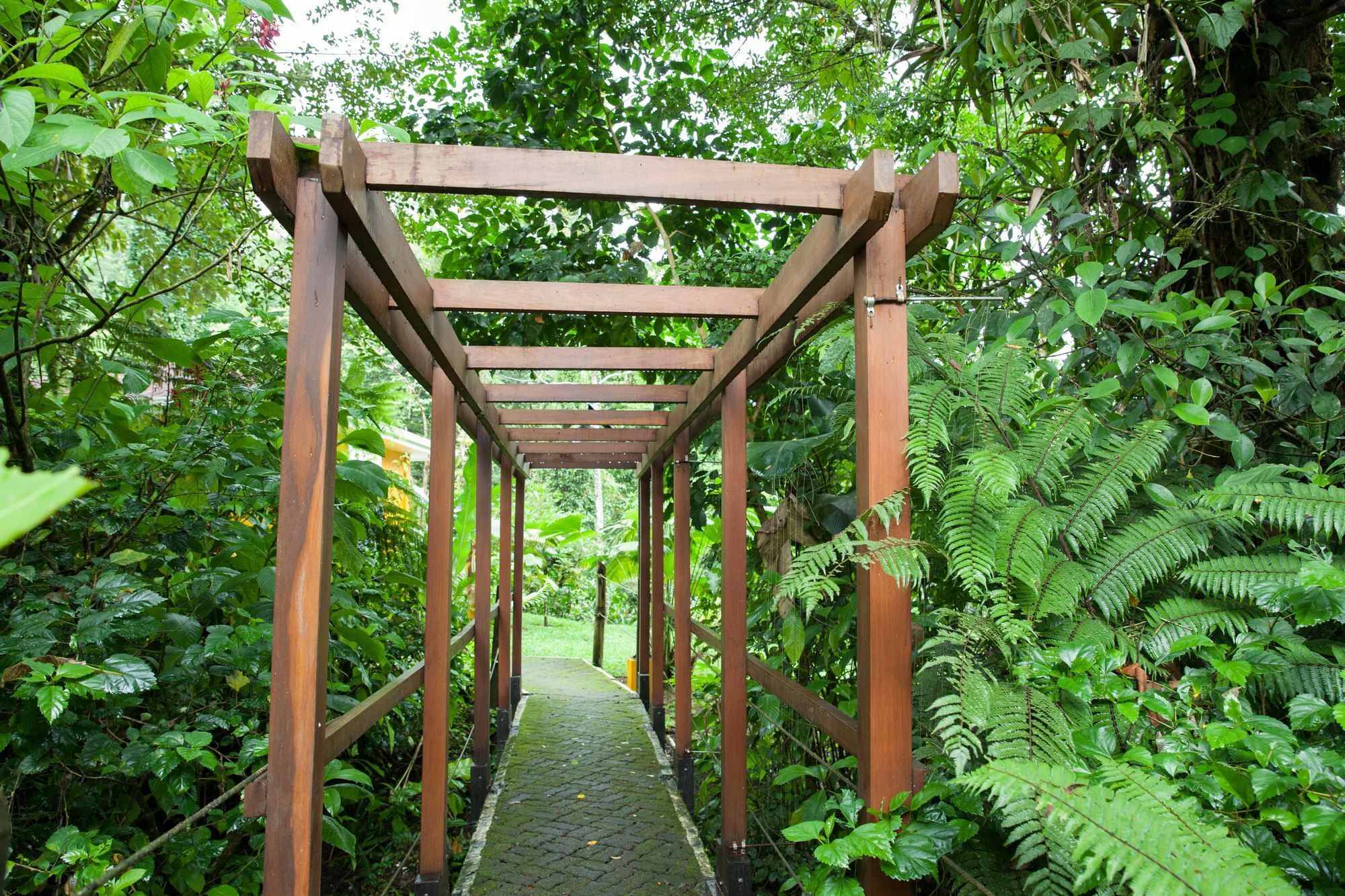 Tifakara Boutique Hotel & Birding Oasis La Fortuna Екстер'єр фото