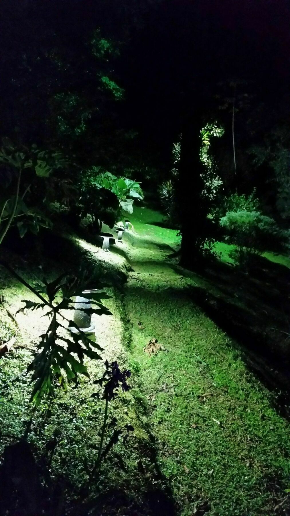 Tifakara Boutique Hotel & Birding Oasis La Fortuna Екстер'єр фото